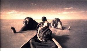 「feather to fire / Gregory Colbert」画像1