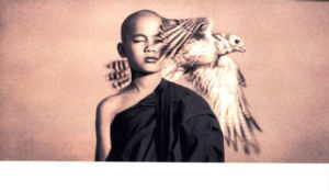 「feather to fire / Gregory Colbert」画像3