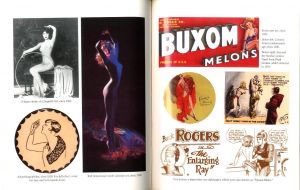「The Century of Sex: Playboy's History of the Sexual Revolution, 1900-1999 / Author: James R. Petersen  Edited / Foreword: Hugh M. Hefner 」画像3