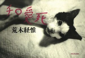 チロ愛死／荒木経惟（Chiro aishi／Nobuyoshi Araki)のサムネール