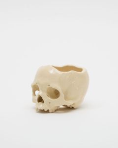 「植木鉢 IVORY / 丸岡和吾」画像1