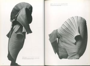 「ISSEY MIYAKE PLEATS PLEASE  三宅一生展 / 写真：アーヴィング・ペン　詩：谷川俊太郎」画像5