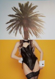 Palm Tree & Bunnyのサムネール