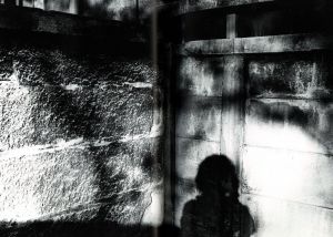 「Memories of a Dog / 森山大道」画像3
