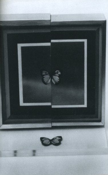 グループ「幻触」と石子順造 1960-1971 / 石子順造 編:静岡県立 グループ「幻触」と石子順造 1960-1971 / 石子順造 編:静岡県立
