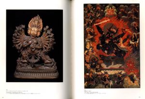 「天空の秘宝 チベット密教美術展　図録　全2冊セット / 監修：マリリン・M ・リー　　ロバート・A・F・サーマン」画像4