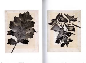 「Transforming Photography / Thomas Ruff」画像1