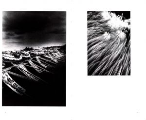 「Daido Moriyama: Sunflower / 森山大道」画像5