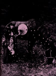 「YAYOI KUSAMA  LOUIS VUTTON  [Limited Edition] / Yayoi Kusama」画像3