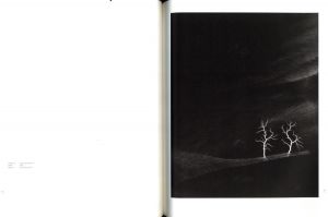 「光の自然 / 杉本博司」画像6