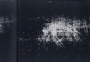「Diamond Sea / Doug Aitken」画像3