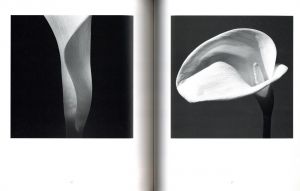 「HANA Yasuhiro Ishimoto / Yasuhiro Ishimoto」画像2