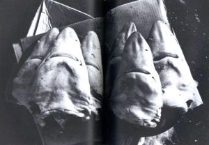 「Daido Moriyama: Dazai / 写真：森山大道　文：太宰治」画像7