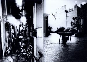 「DAIDO MORIYAMA　it / 森山大道」画像9