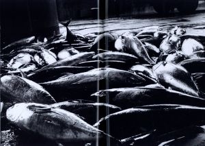 「DAIDO MORIYAMA　it / 森山大道」画像4