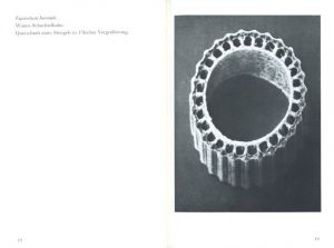 「Urformen der Kunst: Die bibliophilen Taschenbucher / Karl Blossfeldt」画像3