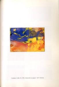 「GERHARD RICHTER 1996 / Gerhard Richter」画像2