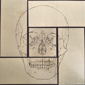 TATAMI BURN MARKS　SKULL／丸岡和吾（TATAMI BURN MARKS　SKULL／Kazumichi Maruoka)のサムネール