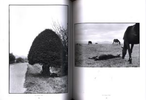 「Landscape / アンリ・カルティエ＝ブレッソン」画像4