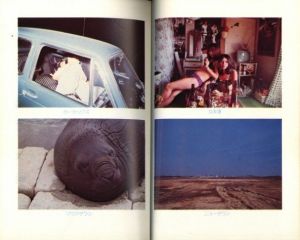 「写真への旅 / 荒木経惟」画像1
