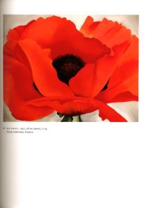「Georgia O'Keeffe: Art and Letters / 著：Jack Cowart, Juan Hamilton」画像1