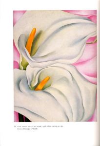「Georgia O'Keeffe: Art and Letters / 著：Jack Cowart, Juan Hamilton」画像4