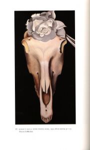 「Georgia O'Keeffe: Art and Letters / 著：Jack Cowart, Juan Hamilton」画像5