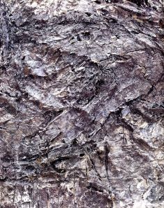 「Anselm Kiefer Next Year in Jerusalem / Marina Warner」画像6