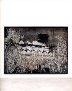 「Anselm Kiefer Next Year in Jerusalem / Marina Warner」画像1