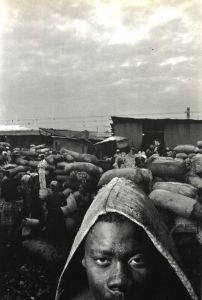 「ハイチ / ブルース・ギルデン」画像4