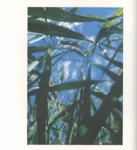 「光の音 / 著：中村ハルコ　文：荒木経惟 他」画像1