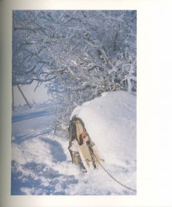 「光の音 / 著：中村ハルコ　文：荒木経惟 他」画像10