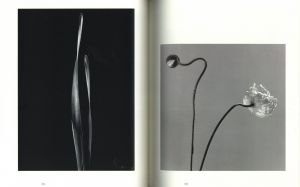 「色とかたち / 石元泰博」画像3