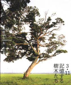 津波の木のサムネール