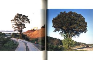 「津波の木 / 写真・文：畠山直哉」画像1