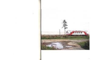 「津波の木 / 写真・文：畠山直哉」画像3