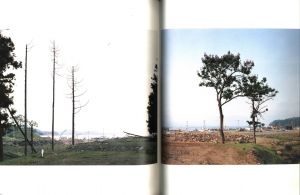 「津波の木 / 写真・文：畠山直哉」画像4
