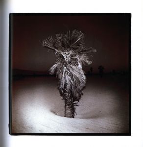 「Richard Misrach Photographs 1975-1987 / リチャード・ミズラック」画像1
