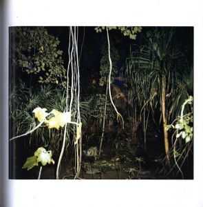 「Richard Misrach Photographs 1975-1987 / リチャード・ミズラック」画像3