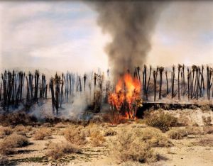 「Chronologies / Richard Misrach」画像2