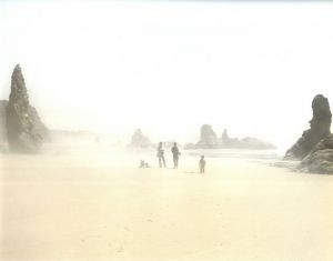 「Chronologies / Richard Misrach」画像3