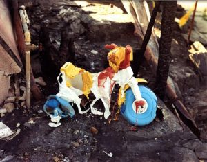 「Chronologies / Richard Misrach」画像8