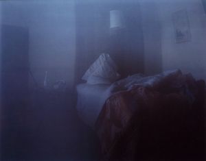 「Chronologies / Richard Misrach」画像10