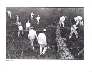 「PICTURES FROM THE NEW WORLD / Danny Lyon」画像3