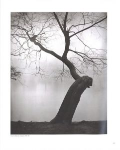 「POET OF PRAGUE  A PHOTOGRAPHER'S LIFE / Author: Josef Sudek」画像4