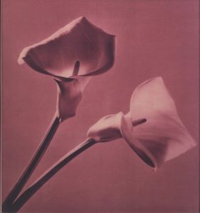 「PISTILS / Robert Mapplethorpe」画像1