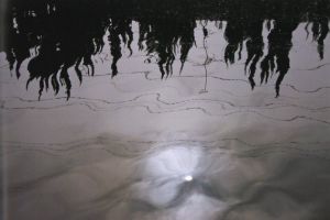 「うらうへ / 市川恵美」画像1