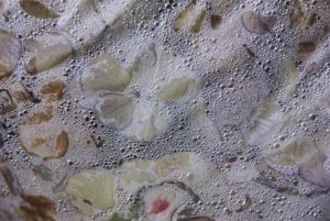 「うらうへ / 市川恵美」画像6