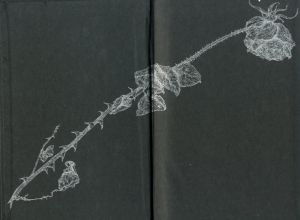 「ジャン・ジュネ全集　第2巻　ブレストの乱暴者　花のノートルダム / 著：ジャンジュネ」画像1