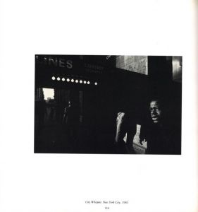 「UNKNOWN TERRITORY / METZKER / Photo: Ray K. Metzker」画像6